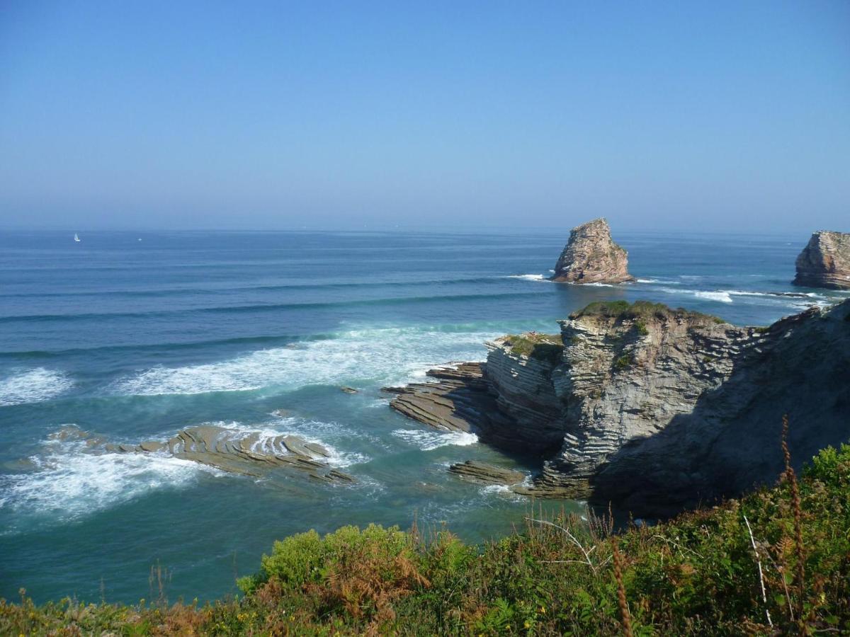 דירות Hendaye-Plage A 200M De La Plage מראה חיצוני תמונה